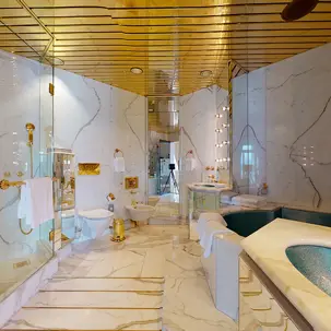 Suite 445AB Master Bathroom